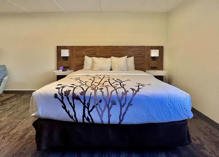 Inn Sleep - Chicago 4*