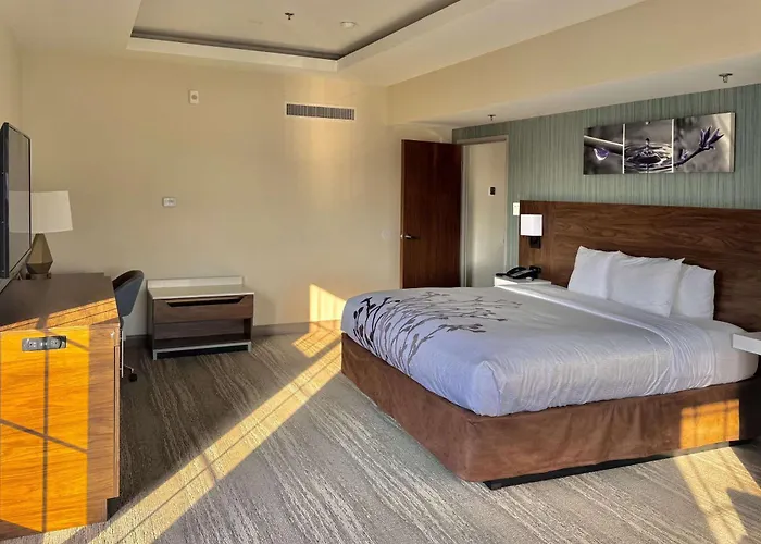 Sleep - Chicago Inn 4*