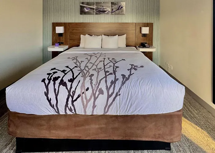 Sleep - Chicago 4*