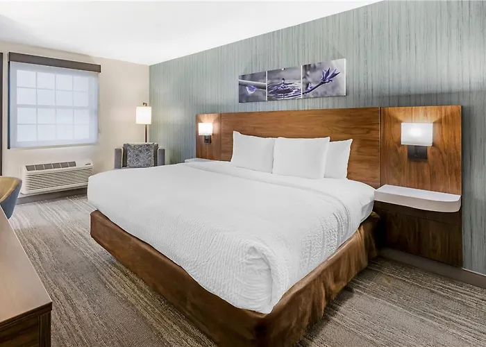 Sleep - Chicago Inn
