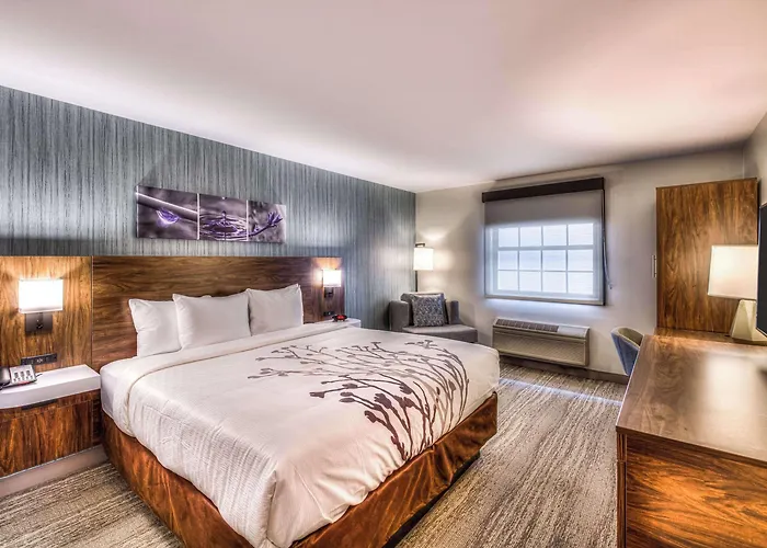 Sleep - Chicago 4*